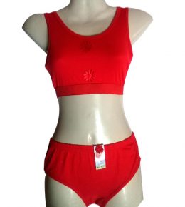 Princess Comfortable Bra and Panty Set-Red-buy-from-online