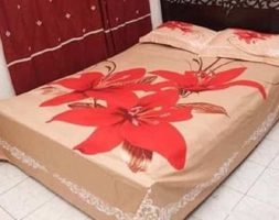 Double Size Cotton Bed Sheet Set