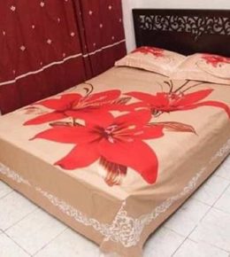 Double Size Cotton Bed Sheet Set-bd online shop