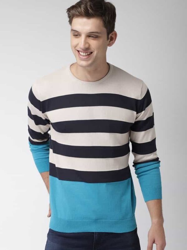 Full Sleeve Sweater For Men - Ari-S2001 - Aly