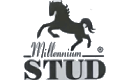 millennium stud Brand