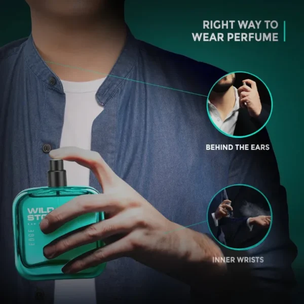 Wild Stone Edge Perfume for Men-online shop shopnobari
